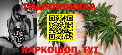 гидра Нарткала